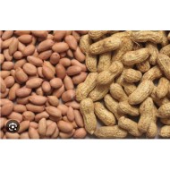 Groundnuts from Malawi - Dried 500g