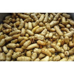 Fresh Groundnuts - Chalimbana Fresh Nuts