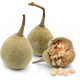 Malambe or Mabuyu Fruit - Baobab Fruit - Small Size