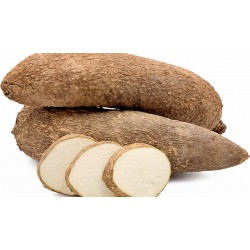YAM 