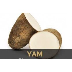 YAM 